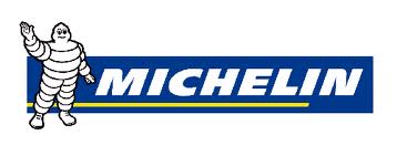 El PSE-EE lamenta que a Bildu, PNV y Plataforma Ciudadana no les importe realmente el ERE de Michelin